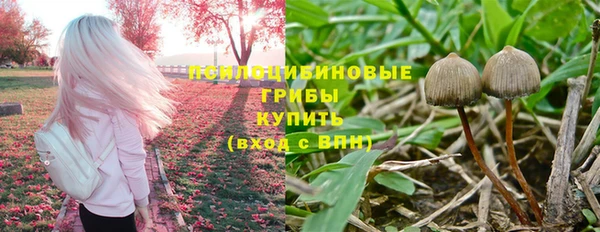 a pvp Алзамай