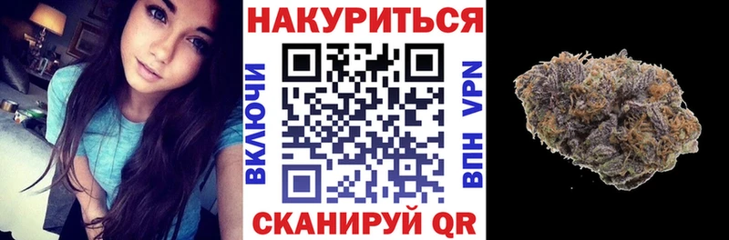 купить наркотик  Абакан  Конопля сатива 